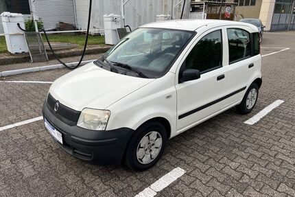 Fiat Panda Gebrauchtwagen