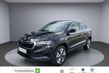 Skoda Karoq Gebrauchtwagen