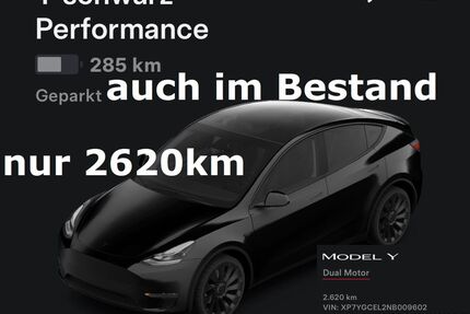 Fiat Model Y 