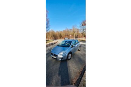 Fiat Punto Gebrauchtwagen