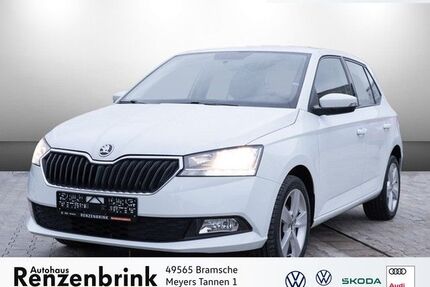 Skoda Fabia Gebrauchtwagen