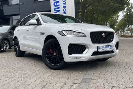 Jaguar F-Pace Gebrauchtwagen