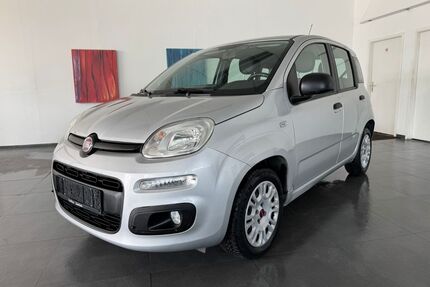 Fiat Panda Gebrauchtwagen