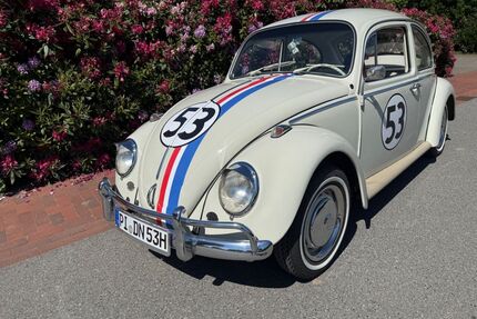 VW Käfer Gebrauchtwagen