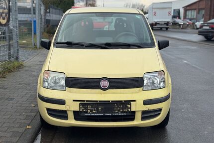 Fiat Panda Gebrauchtwagen