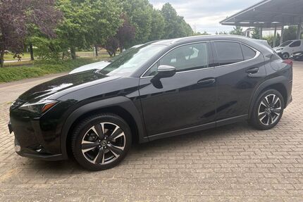 Lexus UX Gebrauchtwagen