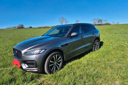 Jaguar F-Pace Gebrauchtwagen