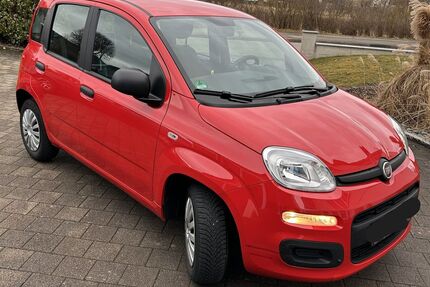 Fiat New Panda Gebrauchtwagen