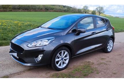 Ford Fiesta Gebrauchtwagen