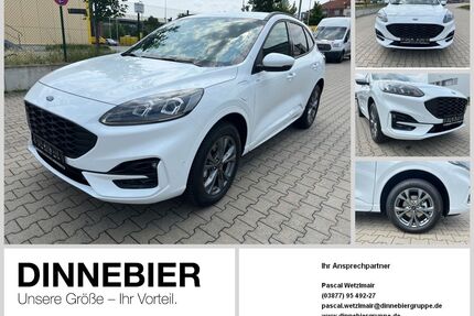 Ford Kuga Gebrauchtwagen