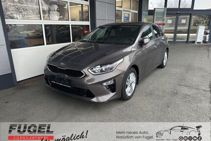 Kia ceed / Ceed Gebrauchtwagen