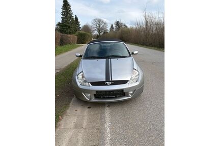 Ford Streetka Gebrauchtwagen