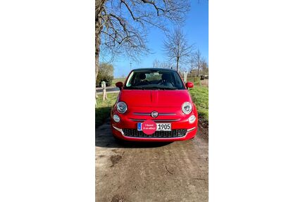 Fiat 500 Gebrauchtwagen