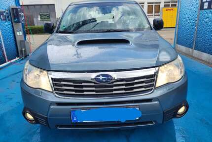 Subaru Forester Gebrauchtwagen