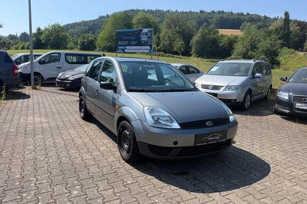 Ford Fiesta Gebrauchtwagen
