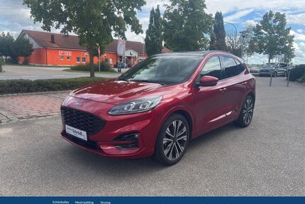 Ford Kuga Gebrauchtwagen