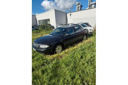 Audi A8 Gebrauchtwagen