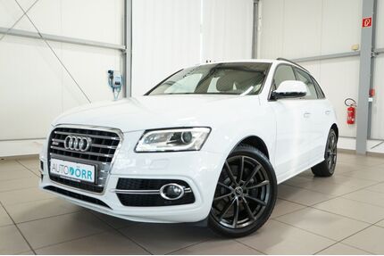 Audi SQ5 Gebrauchtwagen