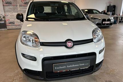 Fiat Panda Gebrauchtwagen