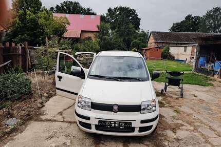 Fiat Panda Gebrauchtwagen