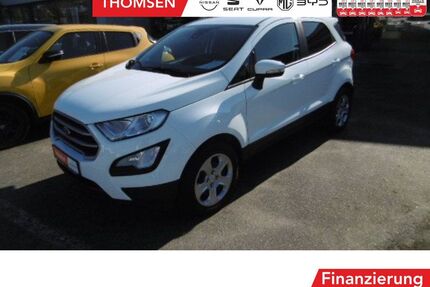 Ford EcoSport Gebrauchtwagen