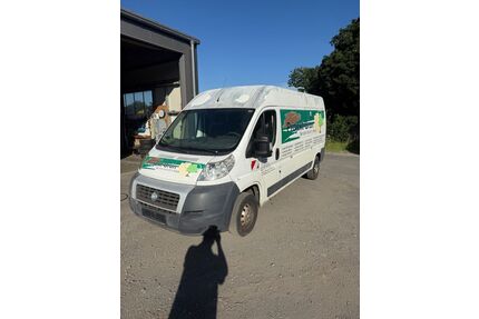 Fiat Ducato Gebrauchtwagen