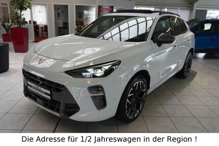 Cupra Terramar Gebrauchtwagen