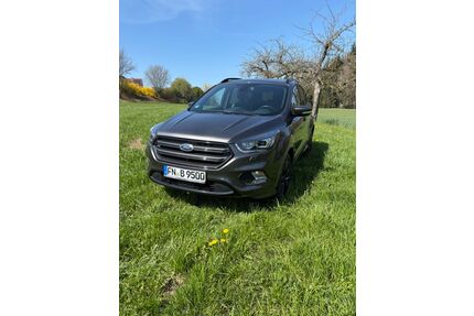 Ford Kuga Gebrauchtwagen