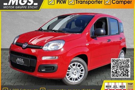 Fiat Panda Gebrauchtwagen