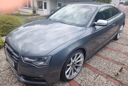 Audi S5 Gebrauchtwagen