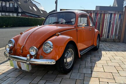 VW Käfer Gebrauchtwagen