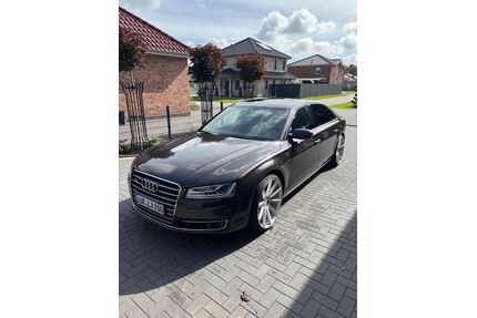 Audi A8 Gebrauchtwagen