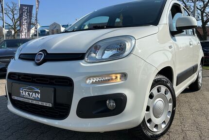 Fiat Panda Gebrauchtwagen