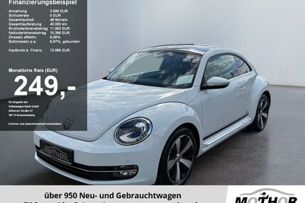 VW Beetle Gebrauchtwagen