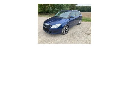 Skoda Fabia Gebrauchtwagen