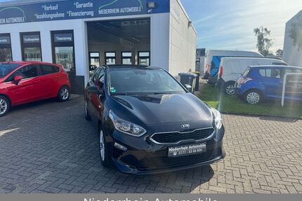Kia ceed / Ceed Gebrauchtwagen