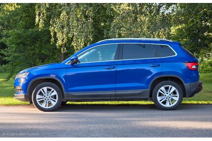 Skoda Karoq Gebrauchtwagen
