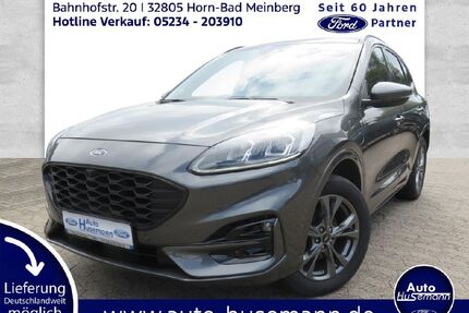 Ford Kuga Gebrauchtwagen