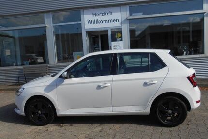 Skoda Fabia Gebrauchtwagen
