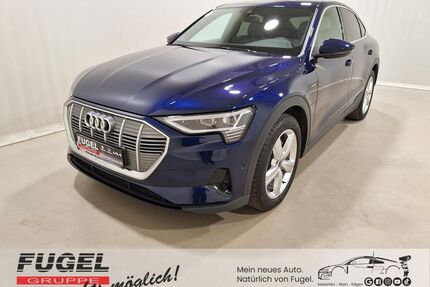 Audi e-tron Gebrauchtwagen