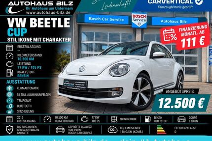 VW Beetle Gebrauchtwagen