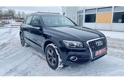 Audi Q5 Gebrauchtwagen