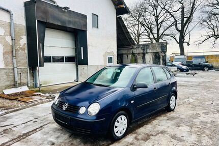 VW Polo Gebrauchtwagen