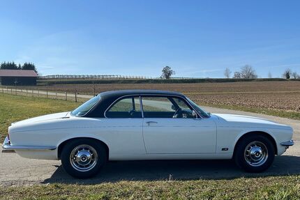 Jaguar XJ6 Gebrauchtwagen