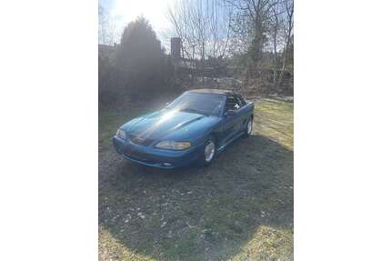 Ford Mustang Gebrauchtwagen