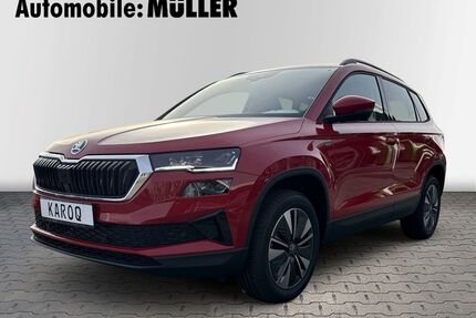 Skoda Karoq Gebrauchtwagen