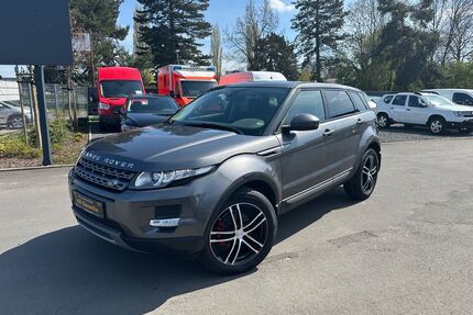 Land Rover Range Rover Evoque Gebrauchtwagen