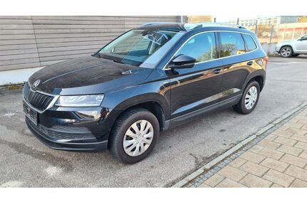 Skoda Karoq Gebrauchtwagen