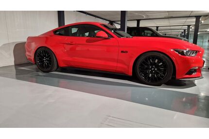 Ford Mustang Gebrauchtwagen