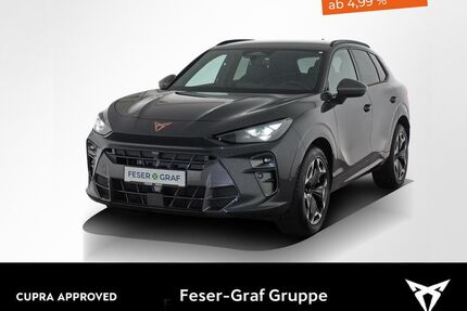 Cupra Terramar Gebrauchtwagen